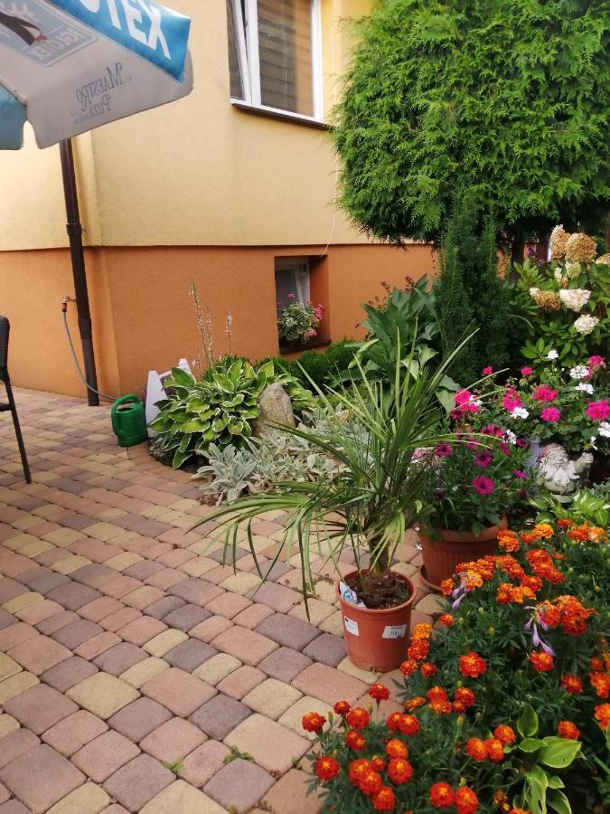 U Eli I Jurka Sztutowo Exterior foto